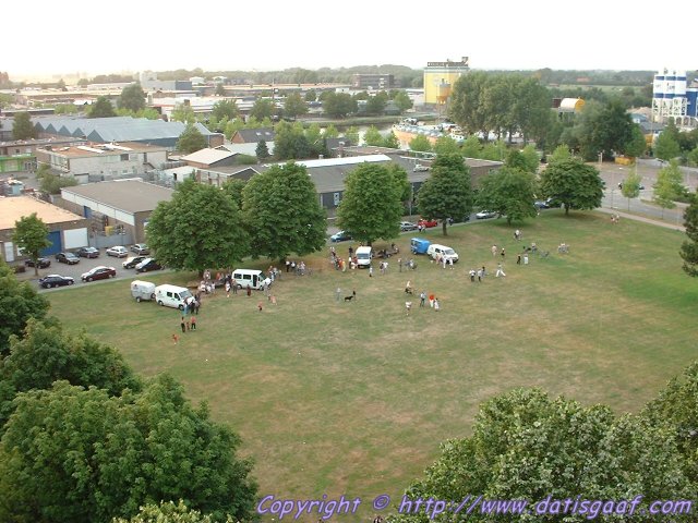 Copyright &copy DatisGaaf.com