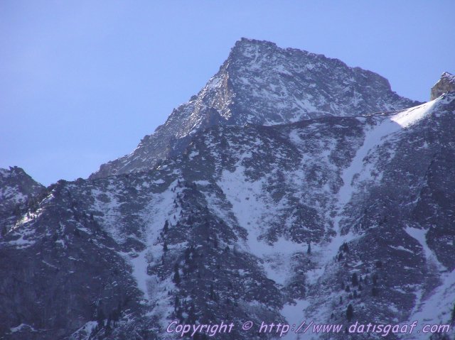 Copyright &copy DatisGaaf.com