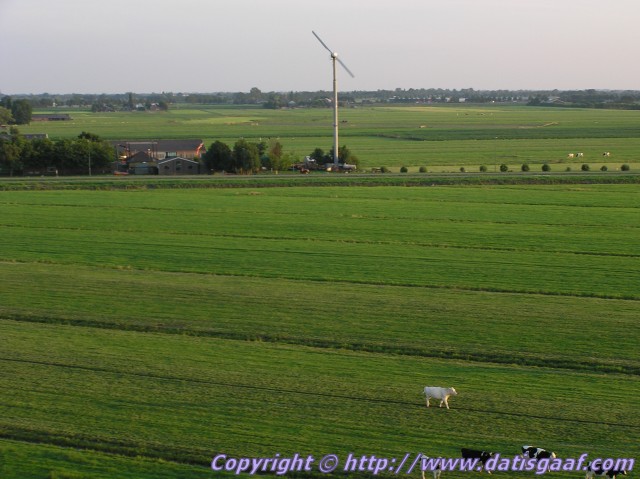 Copyright &copy DatisGaaf.com