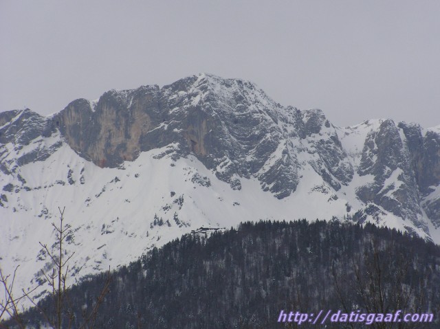 Copyright &copy DatisGaaf.com