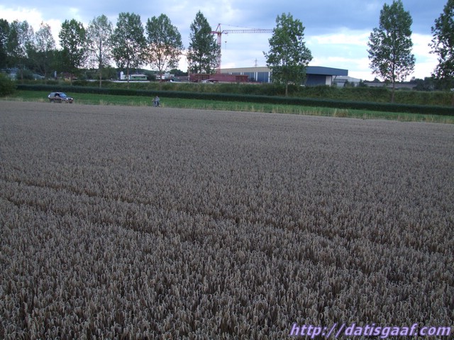 Copyright &copy DatisGaaf.com