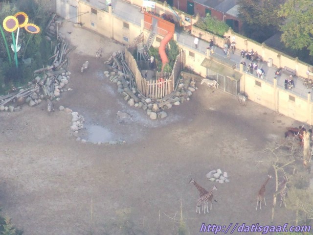 Copyright &copy DatisGaaf.com