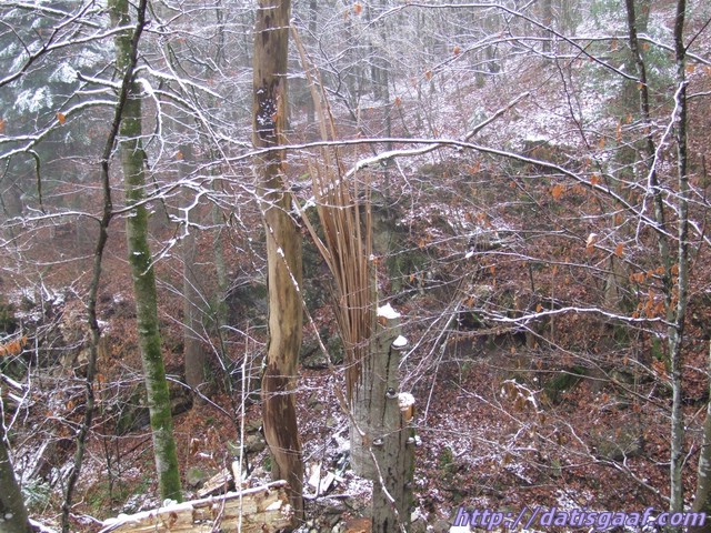 Copyright &copy DatisGaaf.com