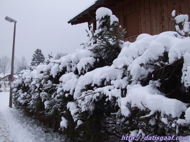 Copyright &copy DatisGaaf.com