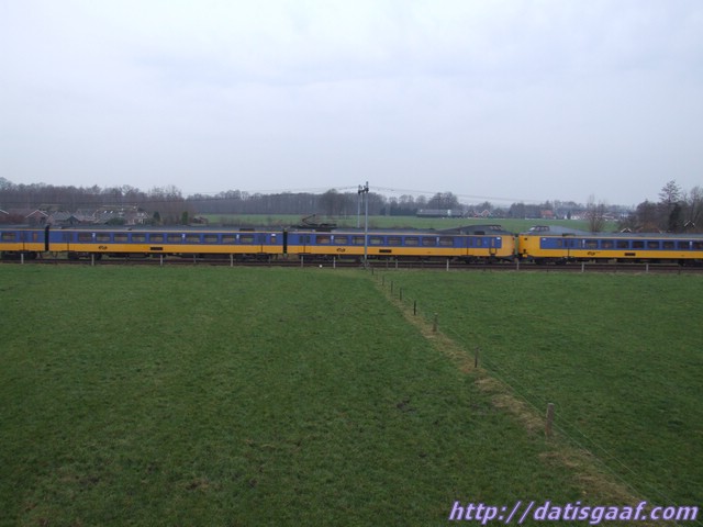 Copyright &copy DatisGaaf.com