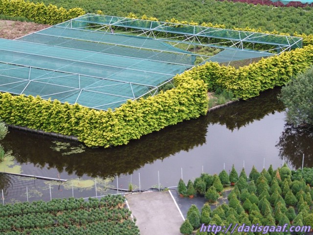 Copyright &copy DatisGaaf.com