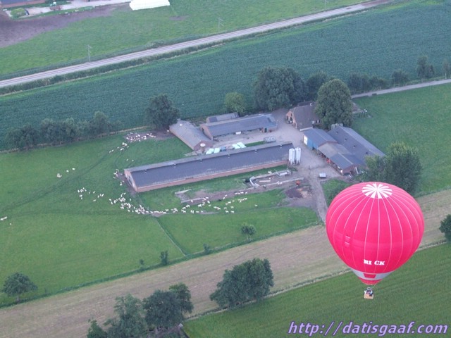 Copyright &copy DatisGaaf.com