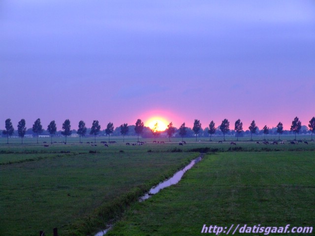 Copyright &copy DatisGaaf.com