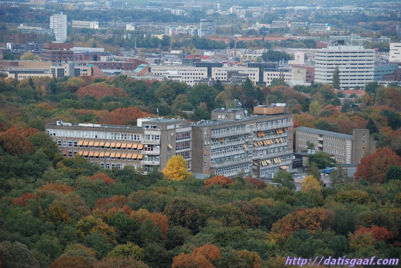 Copyright &copy DatisGaaf.com