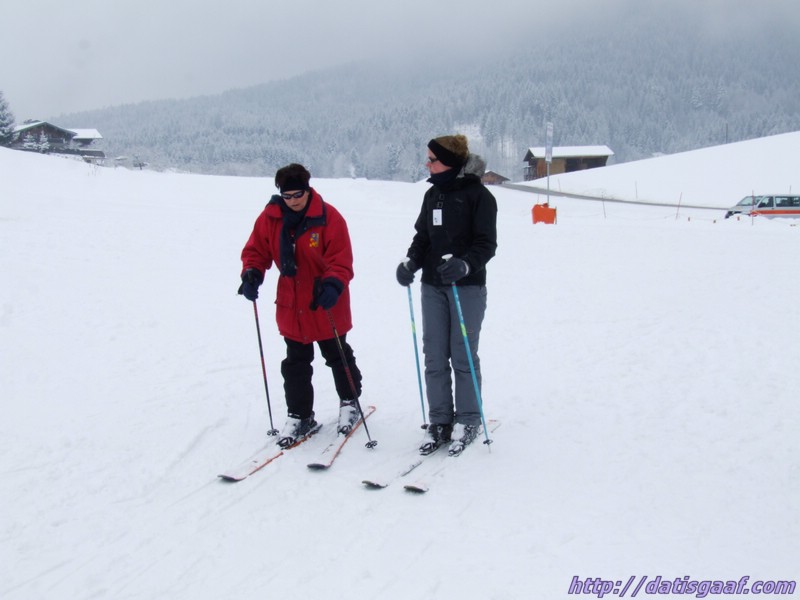 Copyright &copy DatisGaaf.com