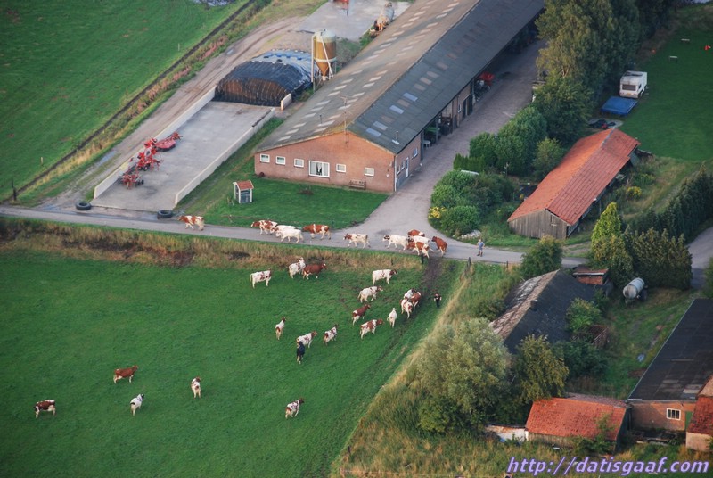 Copyright &copy DatisGaaf.com