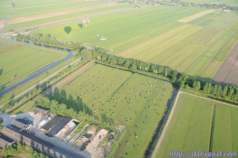 Copyright &copy DatisGaaf.com