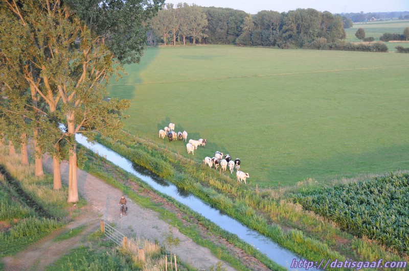 Copyright &copy DatisGaaf.com