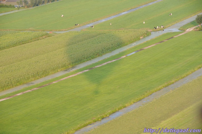 Copyright &copy DatisGaaf.com