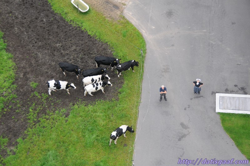 Copyright &copy DatisGaaf.com