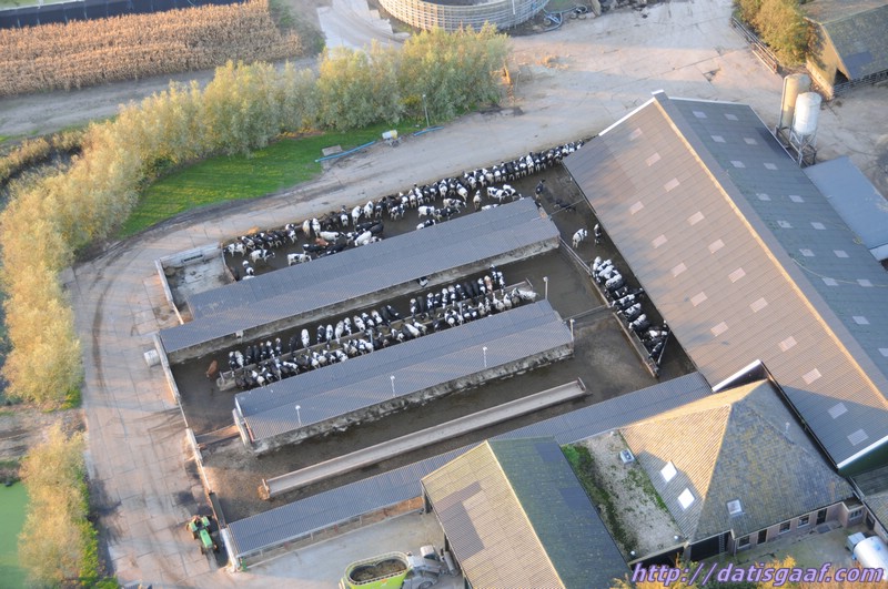 Copyright &copy DatisGaaf.com