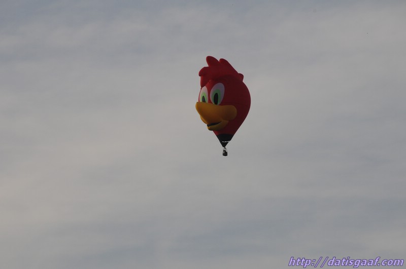 Copyright &copy DatisGaaf.com