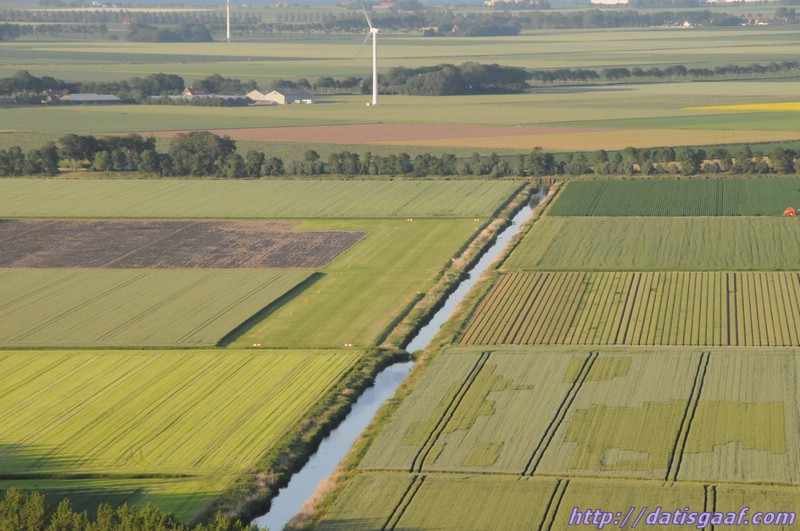 Copyright &copy DatisGaaf.com