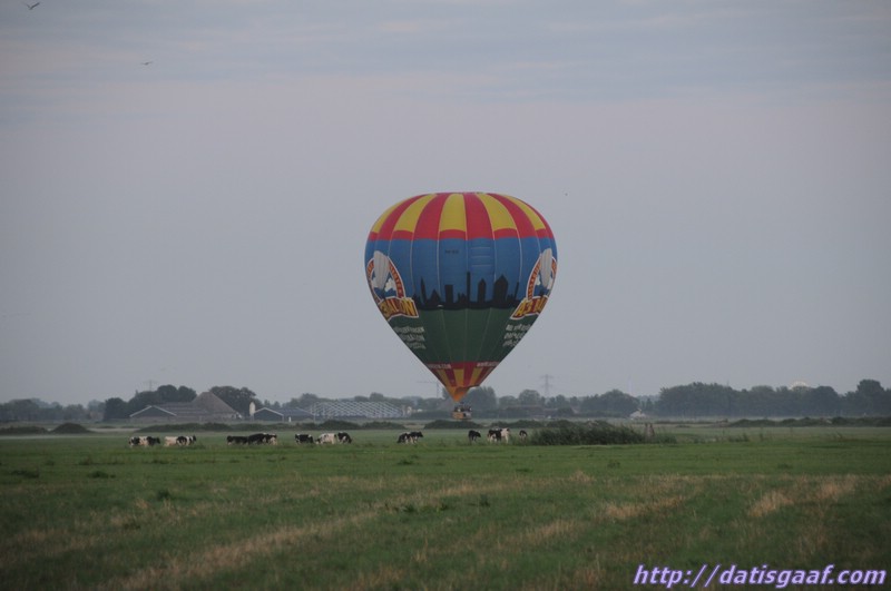 Copyright &copy DatisGaaf.com