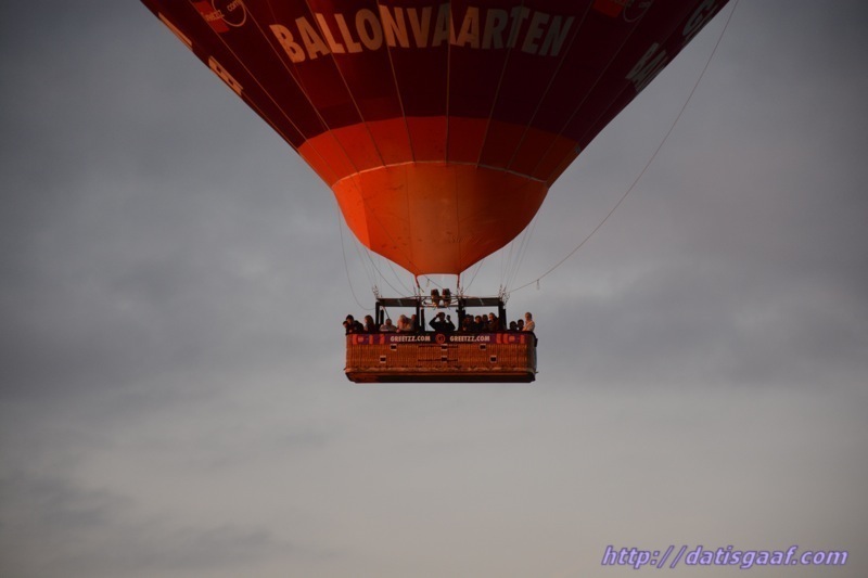 Copyright &copy DatisGaaf.com