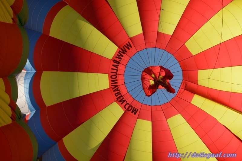 Copyright &copy DatisGaaf.com