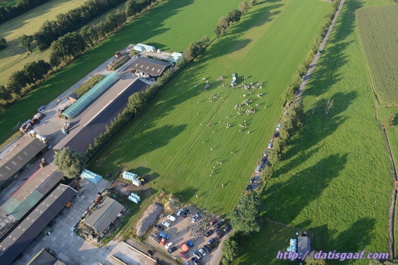 Copyright &copy DatisGaaf.com