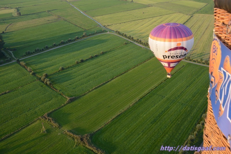 Copyright &copy DatisGaaf.com