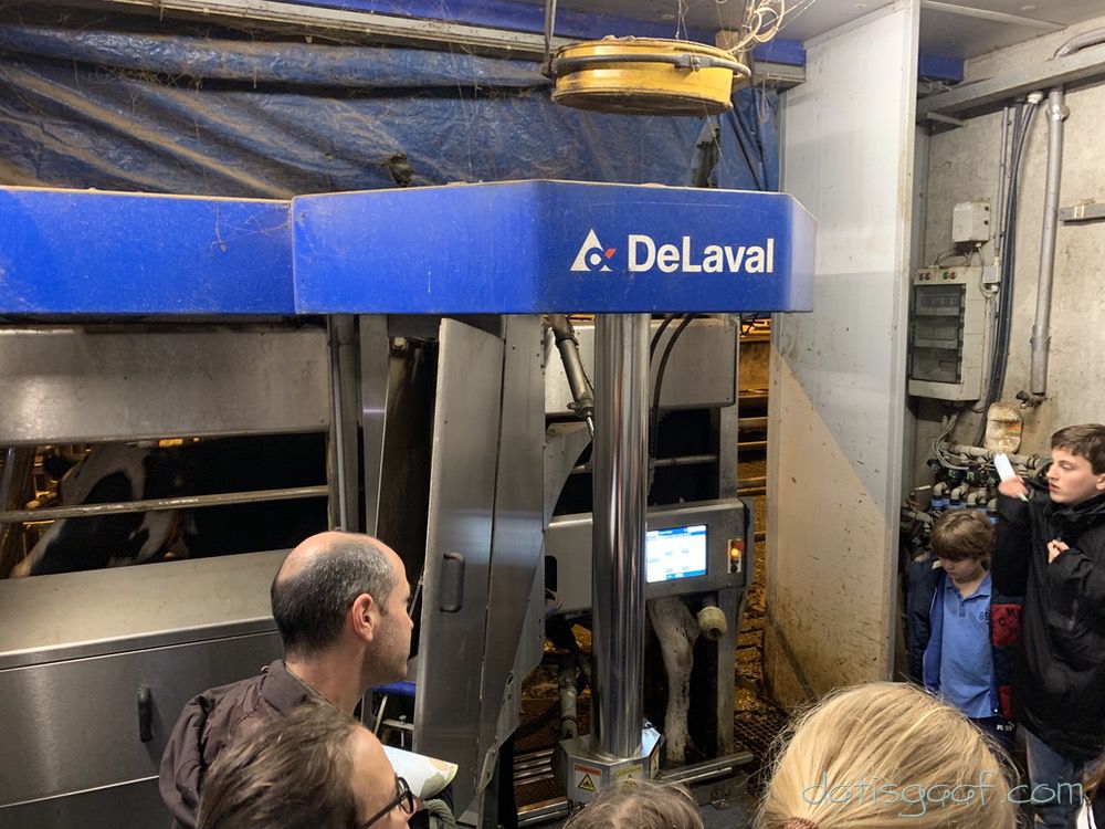 Copyright &copy DatisGaaf.com