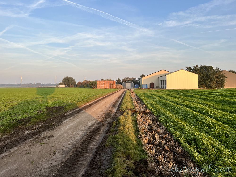 Copyright &copy DatisGaaf.com