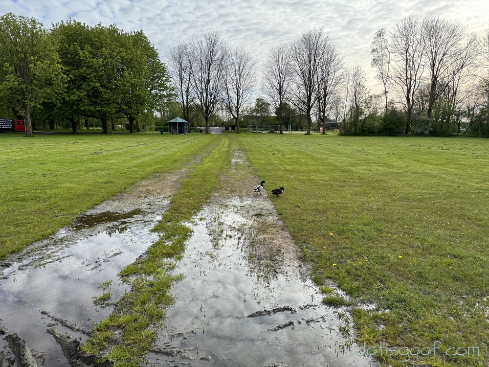 Copyright &copy DatisGaaf.com