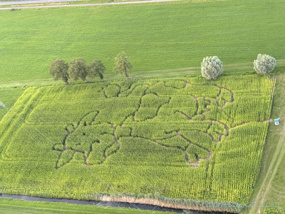 Copyright &copy DatisGaaf.com