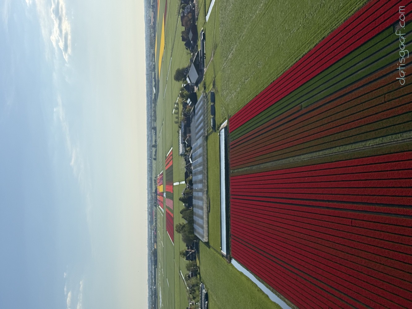 Copyright &copy DatisGaaf.com